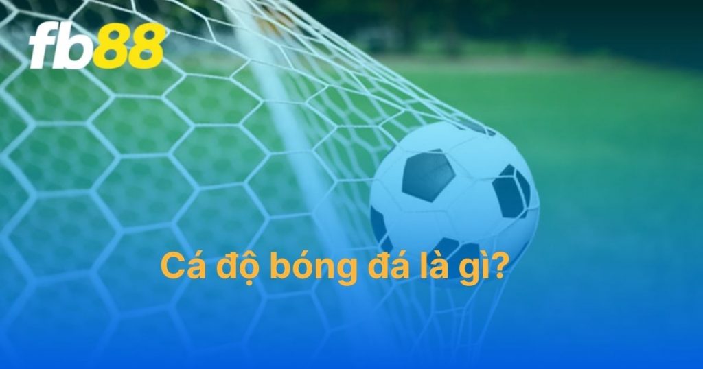 Cá độ bóng đá là gì