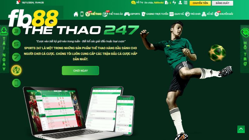 Ưu tiên cá độ thể thao tại nhà cái FB88 uy tín