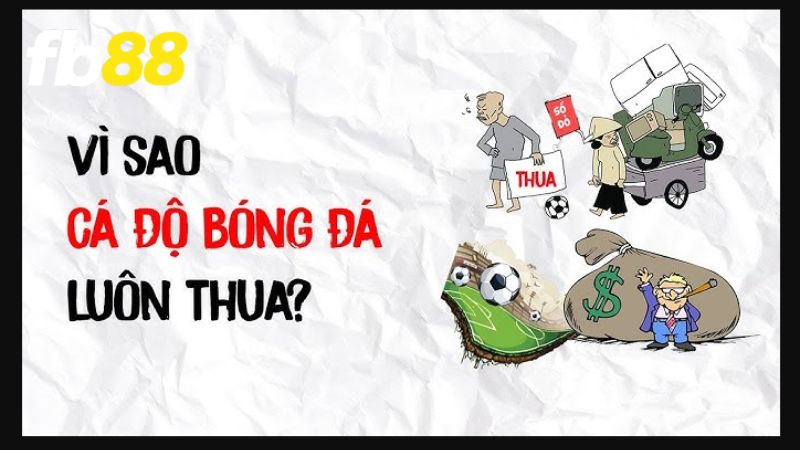 Người chơi không soi kèo dẫn đến tình trạng thua cược